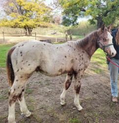 WhatsApp-Image-2024-12-03-a-1245446f1e657e