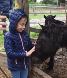 9364975126825120018531405624548480597884928n